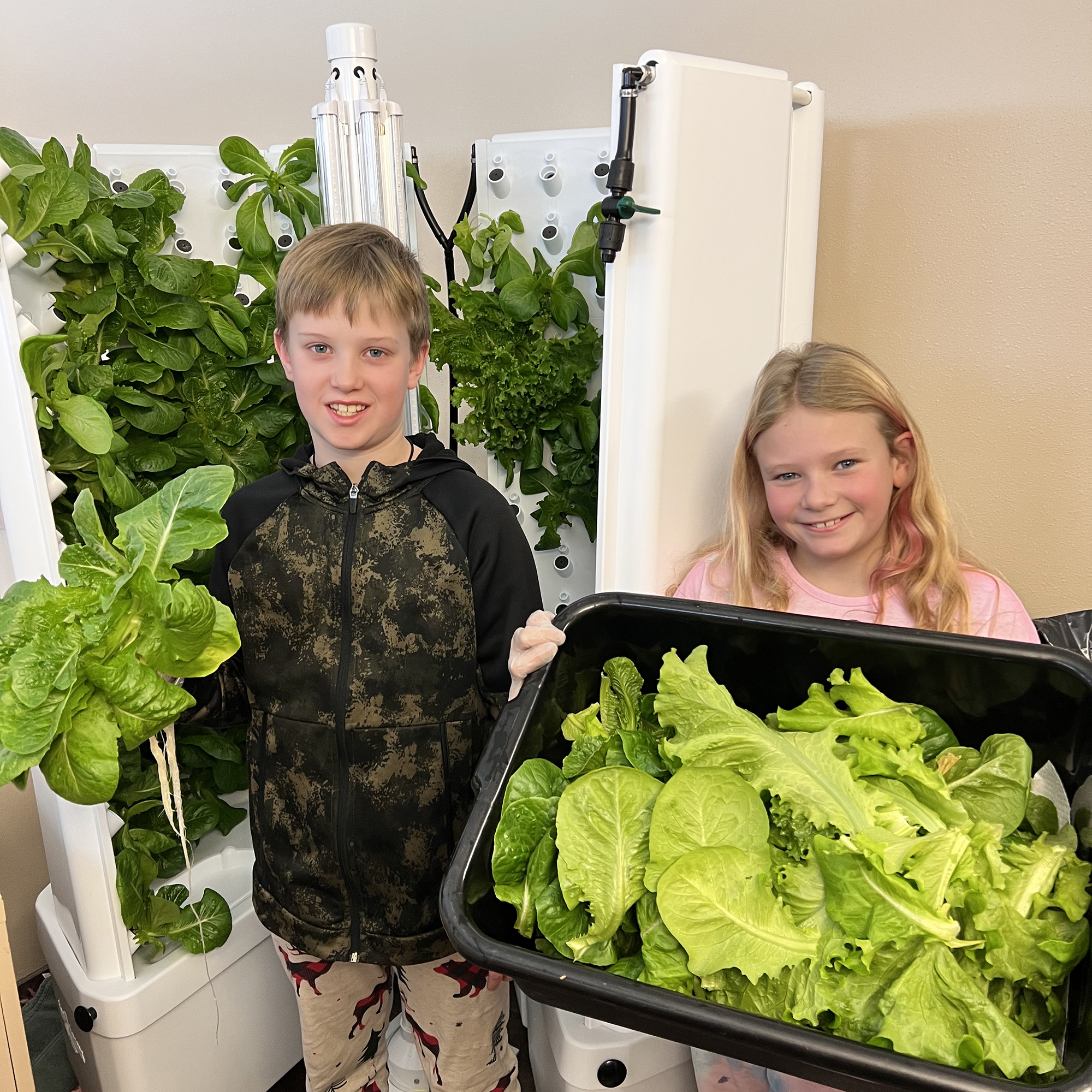Read more about the article BC&C – Hydroponic Garden